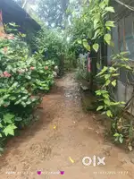 Selling plot