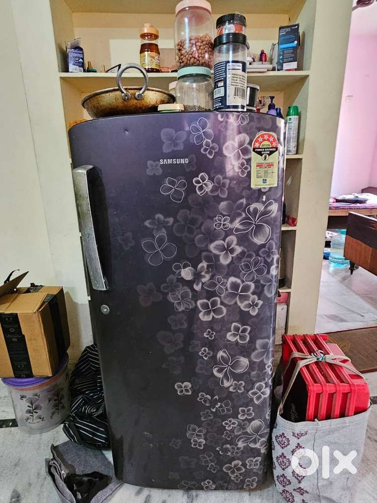 Samsung Single Door Refrigerator with a Floral Design.