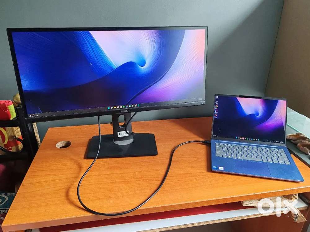 Dell monitor