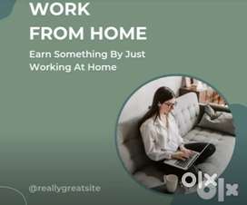 Work from home(only serious person only)