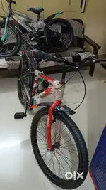 Spark cycle