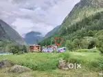 Land For Sale Kasol