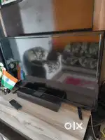 Urgent sell my intex tv urgent basssis