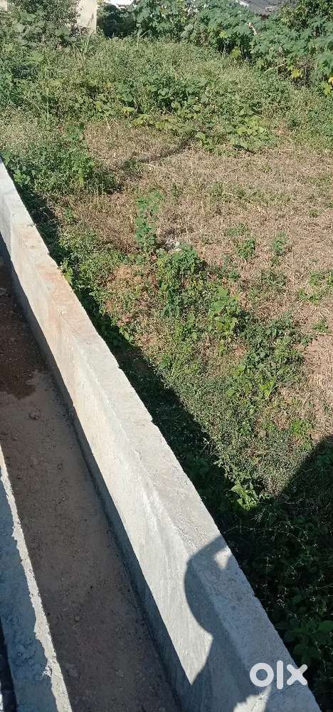 Hassan-Belur Main road