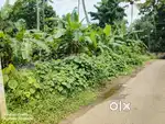 നെടുമ്പാശ്ശേരി എയർപോർട്ടിന് സമീപം 10 സെൻ്റ് സ്ഥലം വിൽപനയ്ക്ക്