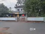20 cent plot