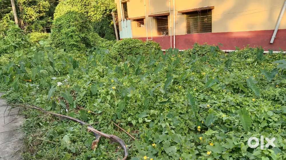 2.5 katha for sale per katha 620000