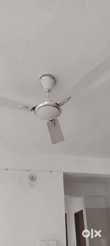 Celling FAN