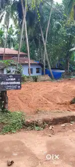 8 Cent Road side land plot for rent