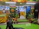 Need investors for running fruit shops if you are interested