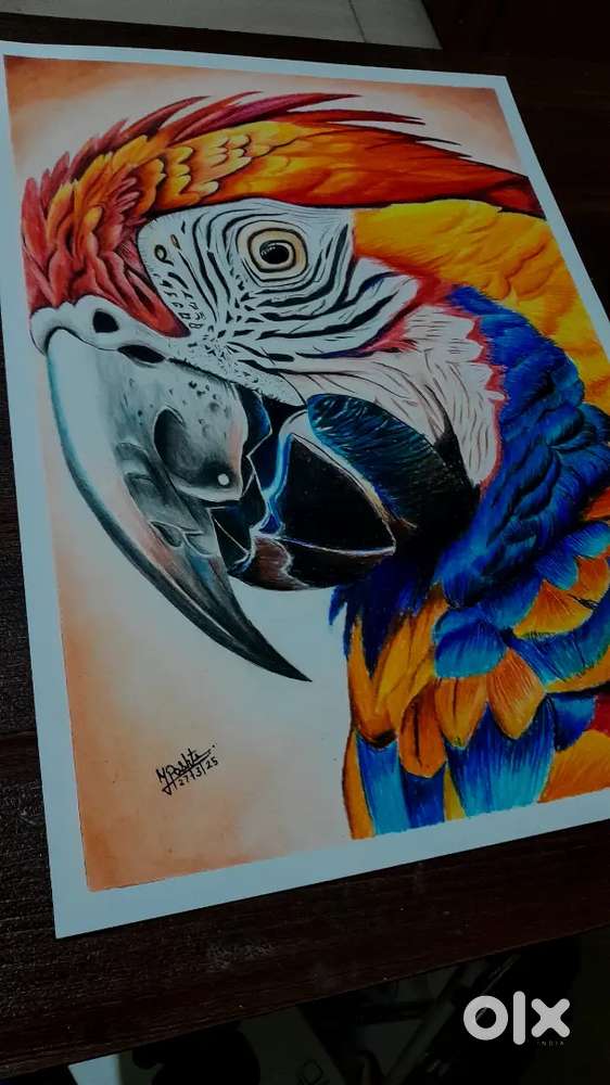 Artwork of the parrot