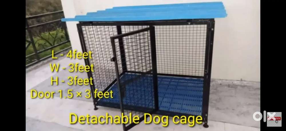Adult Dog gauge