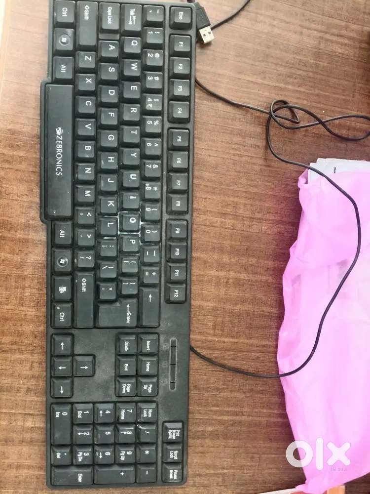Zebronics keyboard