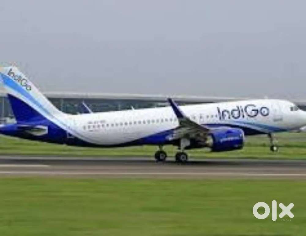 Cabin Crew/Airport Ground Staff Jobs In IndiGo Airlines Apply Fast