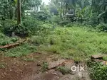 മലപ്പുറം ടൗണിൽ ബിൽഡിംഗ് സൈറ്റ് വിൽപ്പനക്ക്