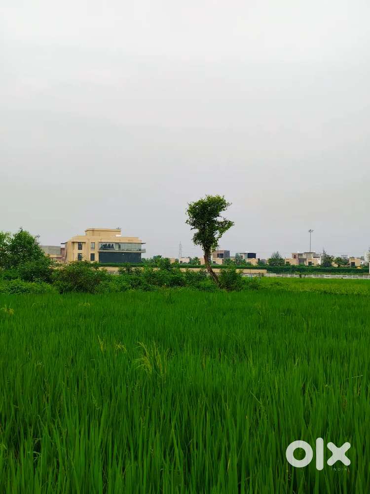 LAND FOR URGENT SALE NEAR ELDICO COLONY