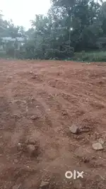 30 cent plot for sale at muthoor, thiruvalla. Near mahalekshmi silks