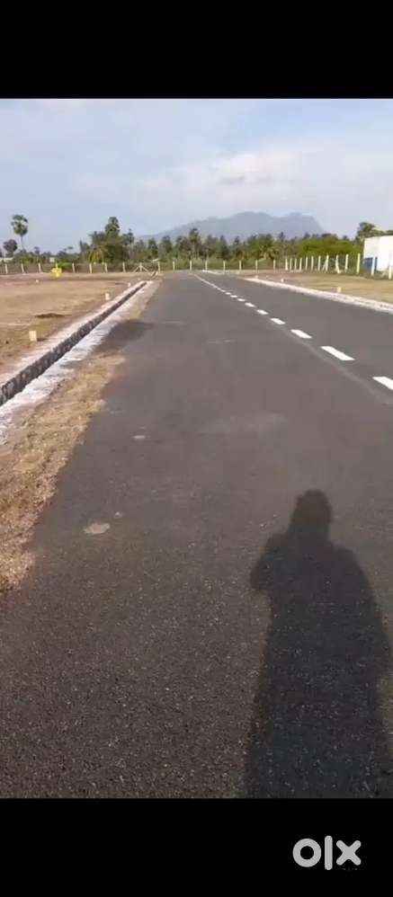 Low Budget investment plots