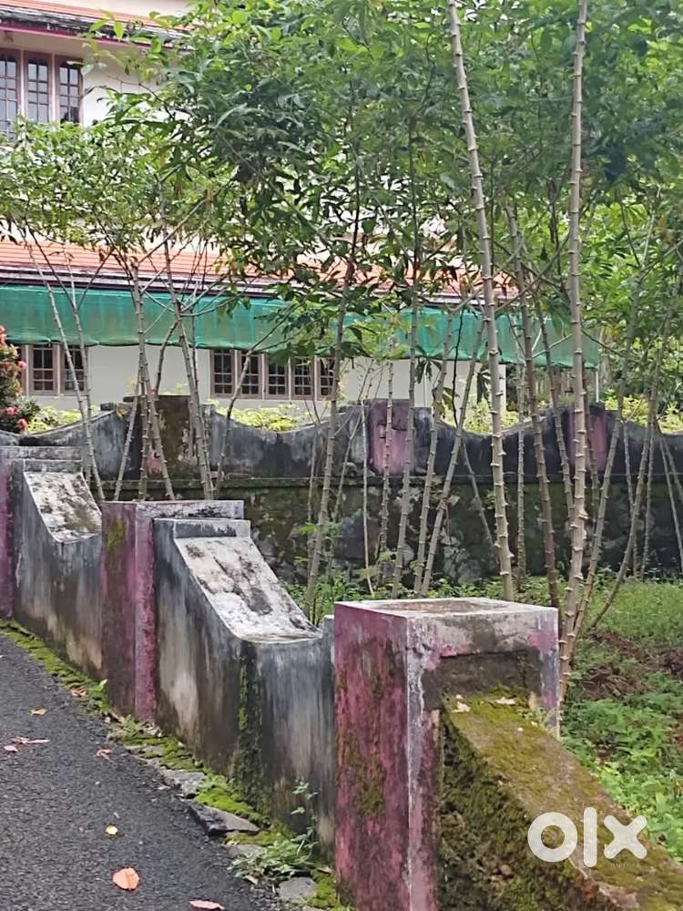 Kuravilangad കടത്തുരുത്തി road side 3500 s.feet വീടും പറമ്പുംfor sale