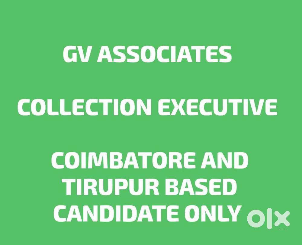 COLLECTION EXECUTIVE