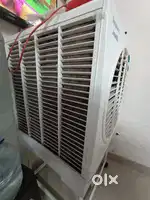 Symphony cooler 1 year old