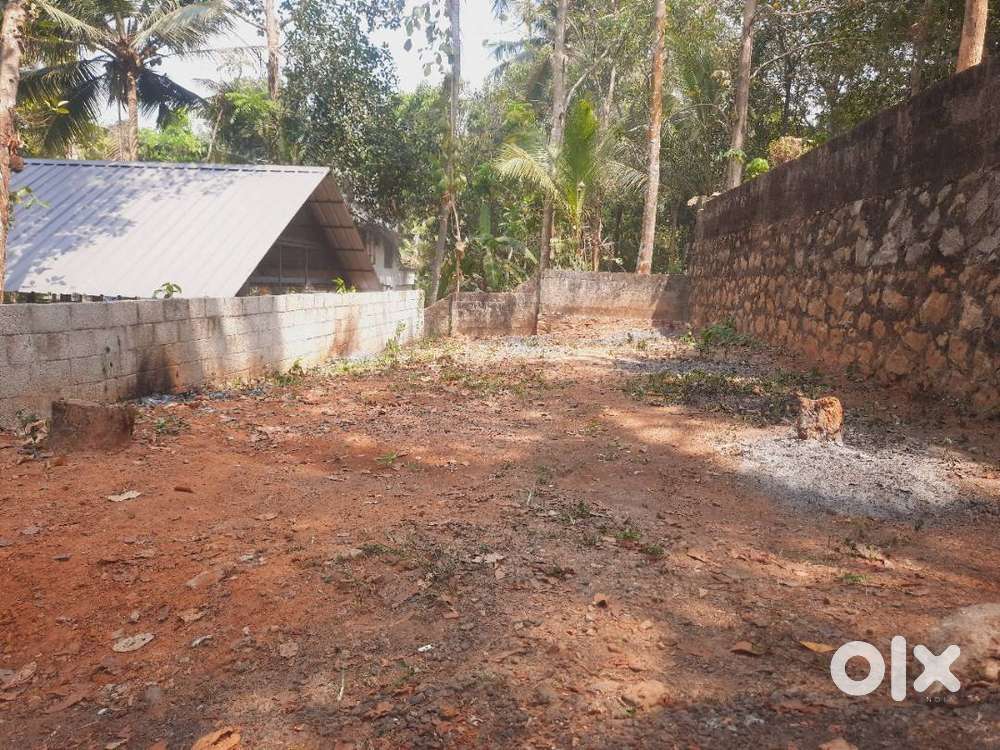 3 Cent Plot For Sale on Pallimukku, Pirayil, Peyad.