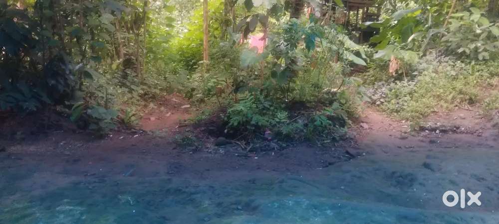 18 സെന്റ് സ്ഥലം വിൽപ്പനക്ക്