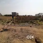 20 / 40   ke plot