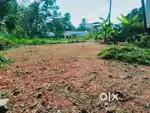 6.5 Cent Plot For Sale at Vazhuthacaud - Edapazhinji Road