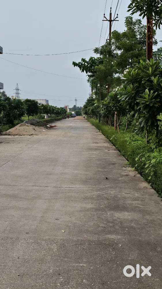 Well Developed Plot project @ Raipur Road With T & C Approved