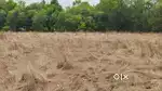 Sona77Land
