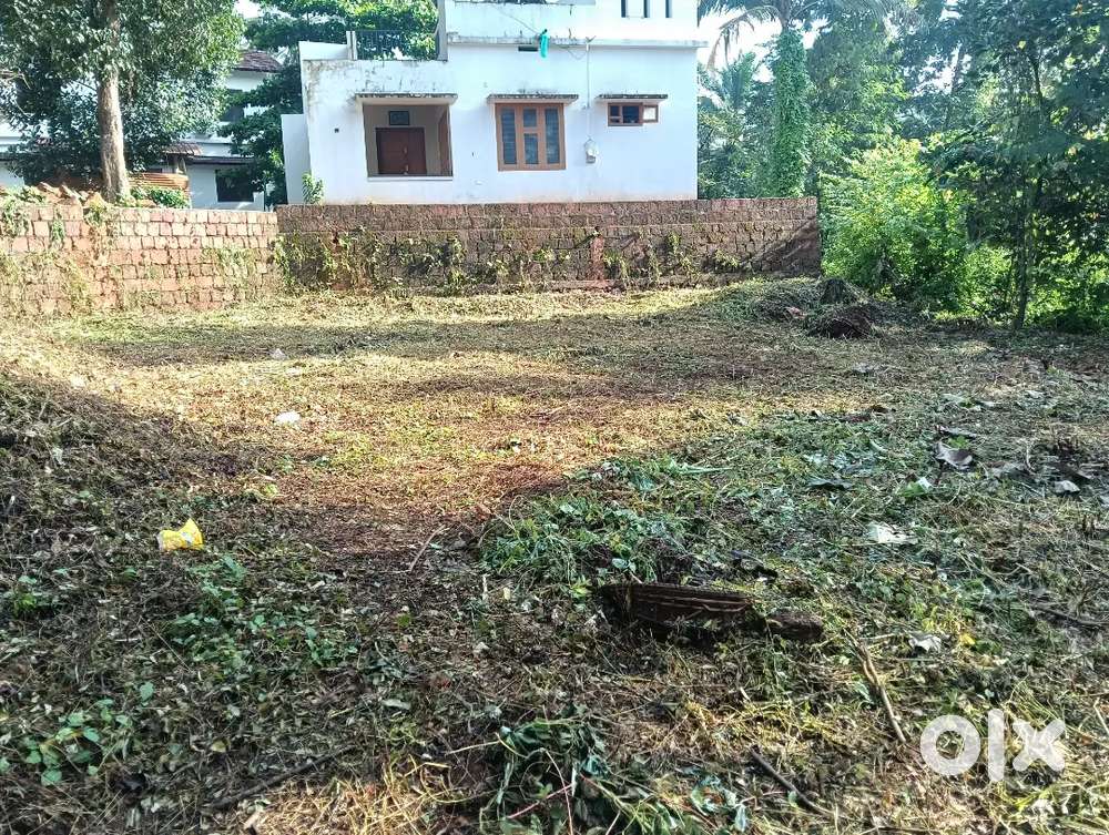 കോട്ടക്കൽ മദ്രസ്സപടിയിൽ 5, 6, 10 സെന്റ് വീതം വില്പനക്ക്