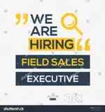 Sales marketing executive