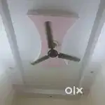 cielling fan