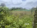 20×30(600sqft) old house for sale