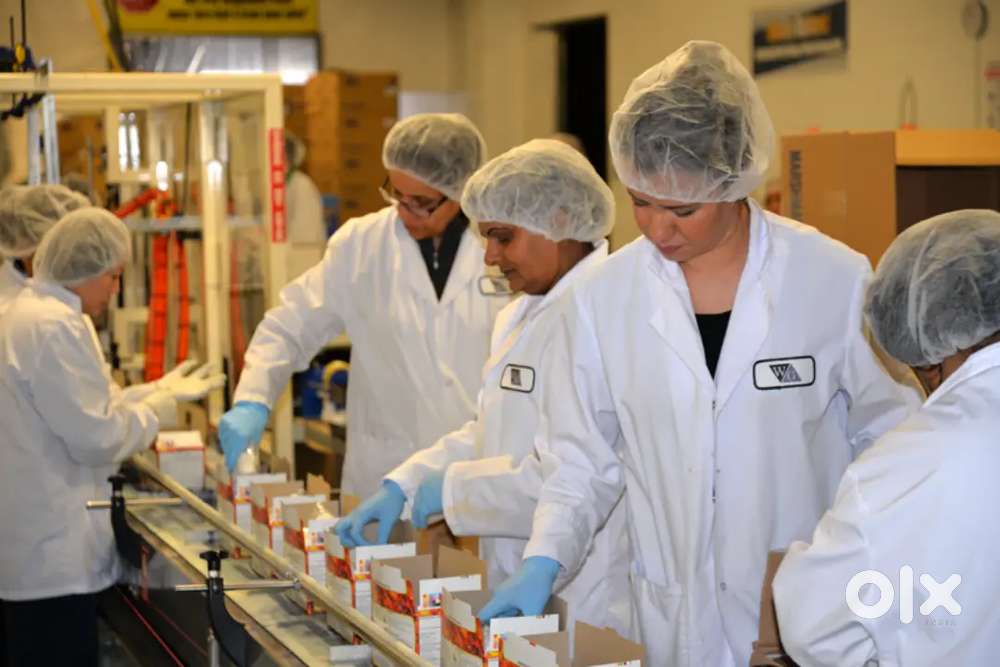 !! REQUIREMENT FOR MEDICINE PACKING JOB IN LUCKNOW LOCATION!!