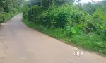 സുൽത്താൻ ബത്തേരിയിൽ 12 സെൻ്റ് സ്ഥലം വിൽപ്പനയ്ക്ക്
