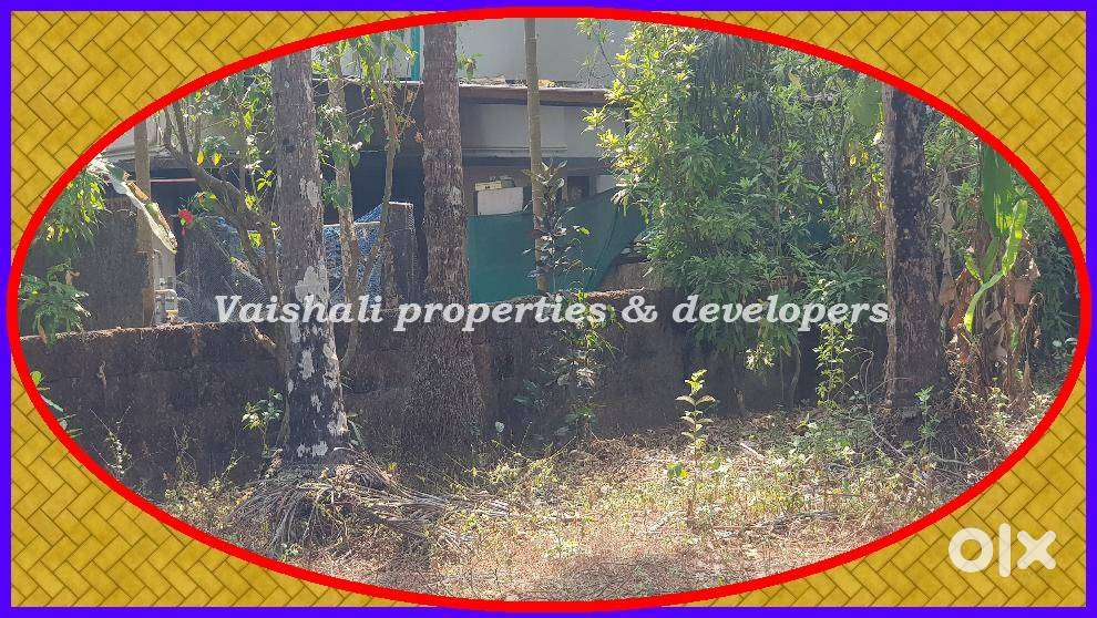 10 cents Residential Plot in near Govt Homeo College,Karaparambu
