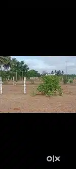 Land for sale in nachipalayam