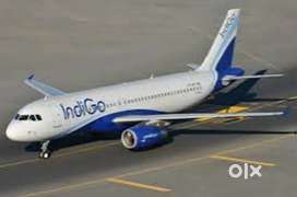 Apply urgent Airport jobs indigo Airlines ground staff & Cabin Crew