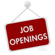 Marketing job for Female