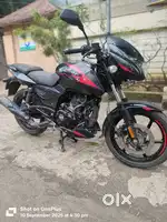 PULSAR 150  15 MONTHS OLD