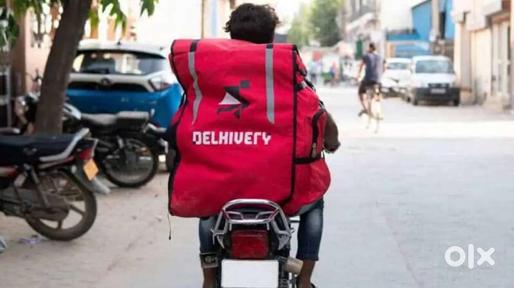 Delhivery Executive