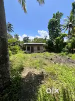 14 cent Land