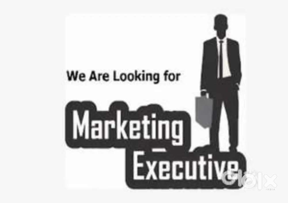 Sales executive