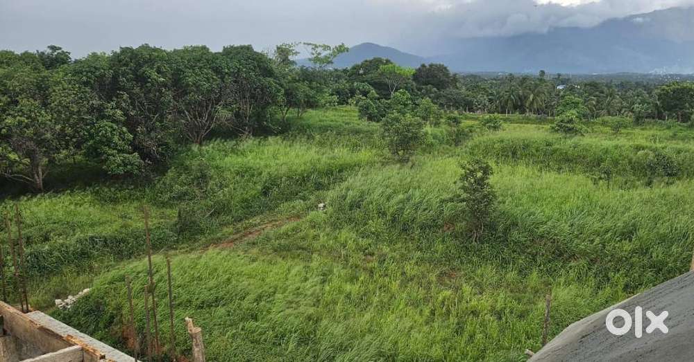 Plots for sale in Elappully, Palakkad