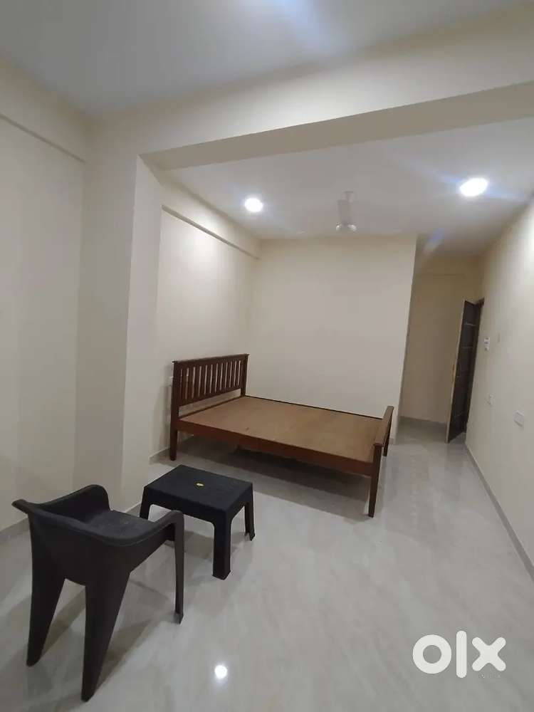 1RK /Studio Apartment