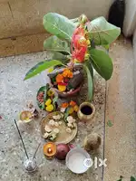 Tuition at my place at cheap price
