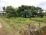 Vacant Land For Sale - 9 1/2 Cents
