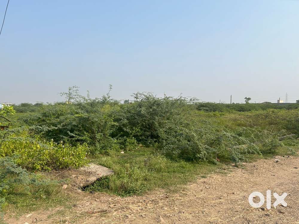 2 प्लॉट एक साथ सबसे सस्ती कीमत पे